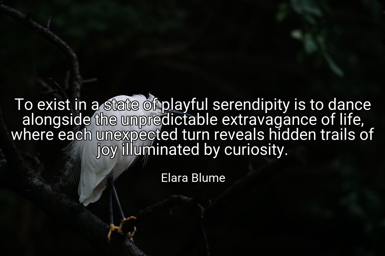 To exist in a state of playful serendipity is to dance alongside the unpredictable extravagance of life, where each unexpected turn reveals hidden trails of joy illuminated by curiosity. - Elara Blume