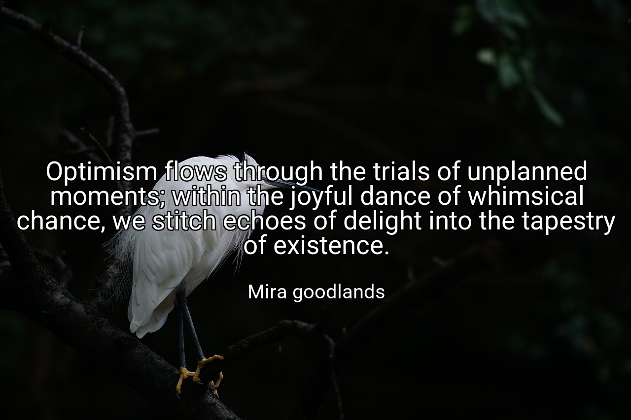 Optimism flows through the trials of unplanned moments; within the joyful dance of whimsical chance, we stitch echoes of delight into the tapestry of existence. - Mira goodlands