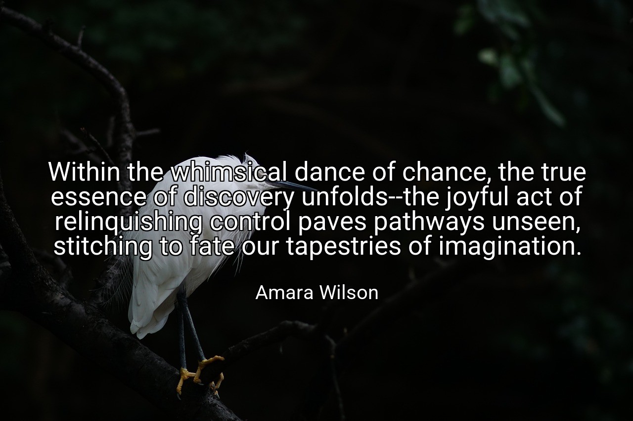 Within the whimsical dance of chance, the true essence of discovery unfolds--the joyful act of relinquishing control paves pathways unseen, stitching to fate our tapestries of imagination. - Amara Wilson