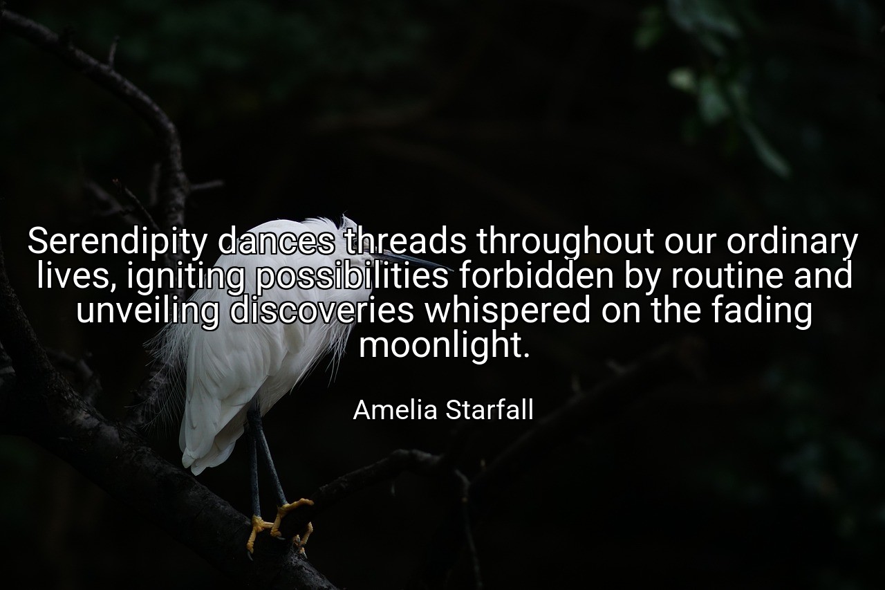 Serendipity dances threads throughout our ordinary lives, igniting possibilities forbidden by routine and unveiling discoveries whispered on the fading moonlight. - Amelia Starfall