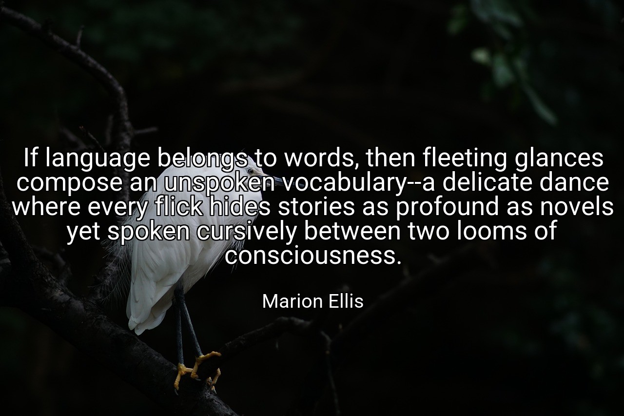 If language belongs to words, then fleeting glances compose an unspoken vocabulary--a delicate dance where every flick hides stories as profound as novels yet spoken cursively between two looms of consciousness. - Marion Ellis