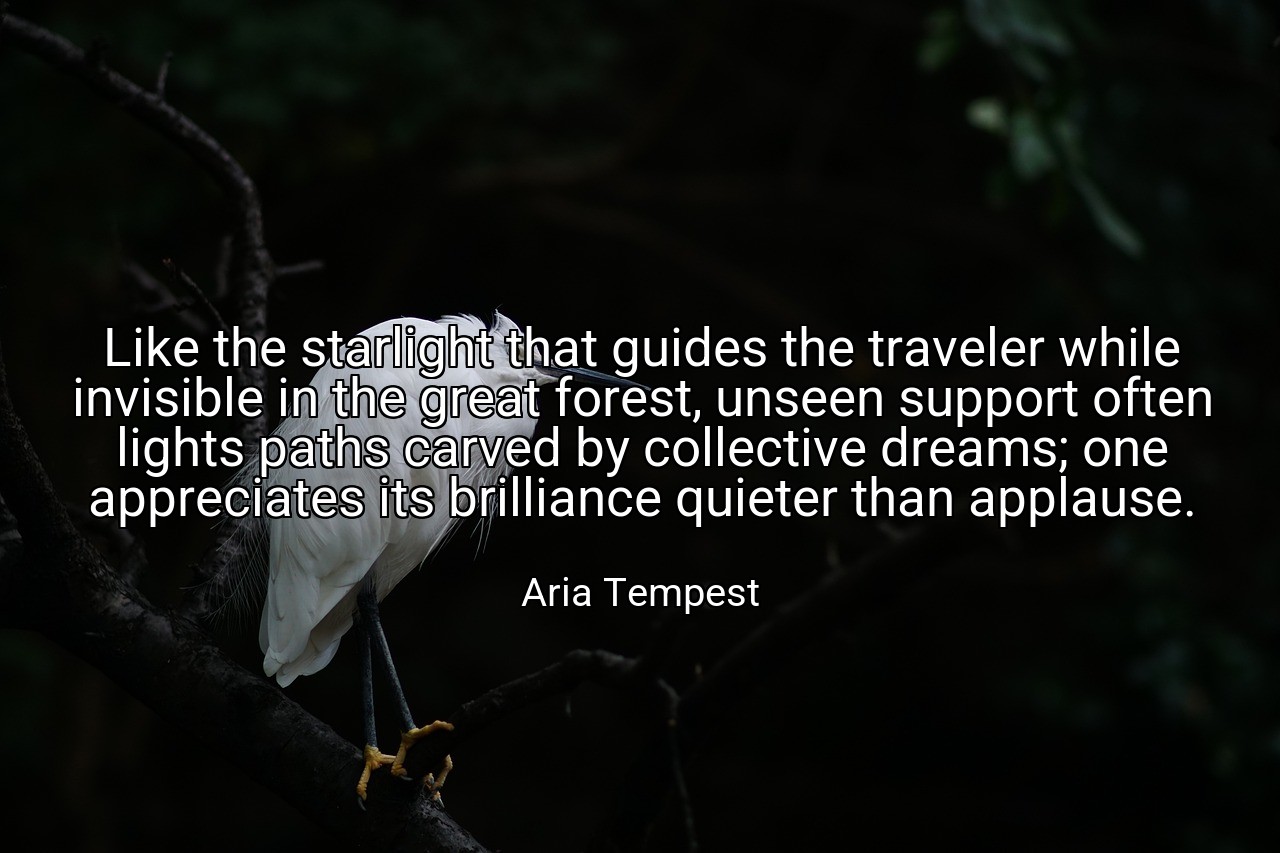 Like the starlight that guides the traveler while invisible in the great forest, unseen support often lights paths carved by collective dreams; one appreciates its brilliance quieter than applause. - Aria Tempest