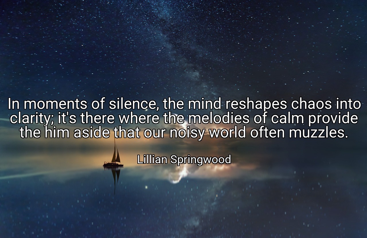In moments of silence, the mind reshapes chaos into clarity; it's there where the melodies of calm provide the him aside that our noisy world often muzzles. - Lillian Springwood