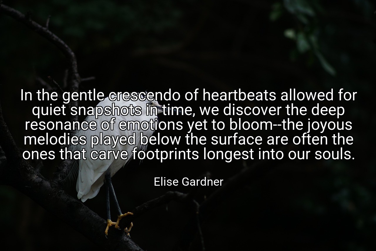 In the gentle crescendo of heartbeats allowed for quiet snapshots in time, we discover the deep resonance of emotions yet to bloom--the joyous melodies played below the surface are often the ones that carve footprints longest into our souls. - Elise Gardner