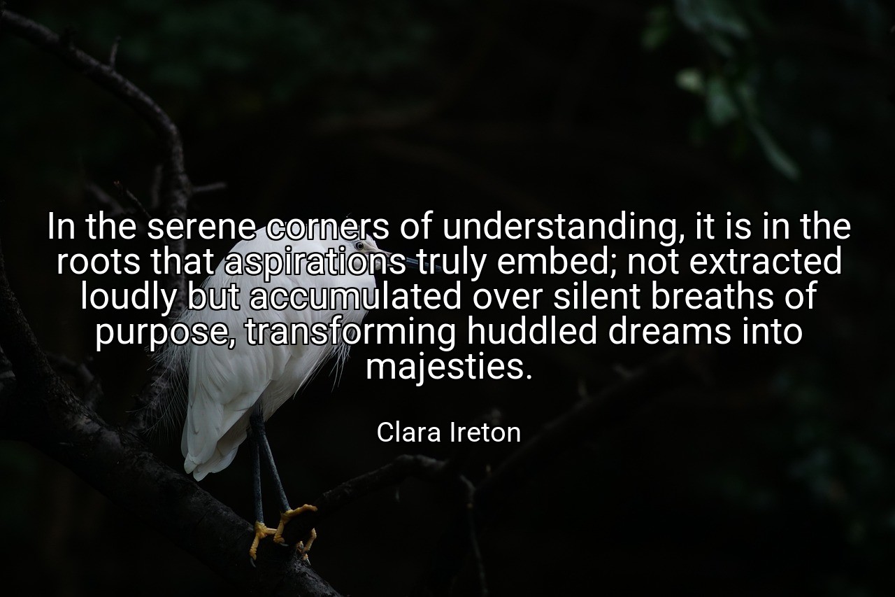 In the serene corners of understanding, it is in the roots that aspirations truly embed; not extracted loudly but accumulated over silent breaths of purpose, transforming huddled dreams into majesties. - Clara Ireton