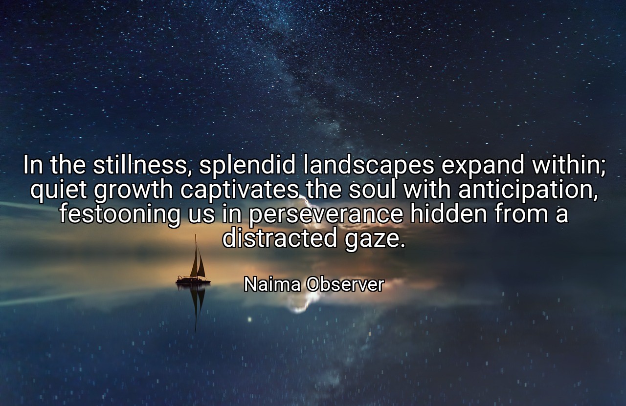 In the stillness, splendid landscapes expand within; quiet growth captivates the soul with anticipation, festooning us in perseverance hidden from a distracted gaze. - Naima Observer