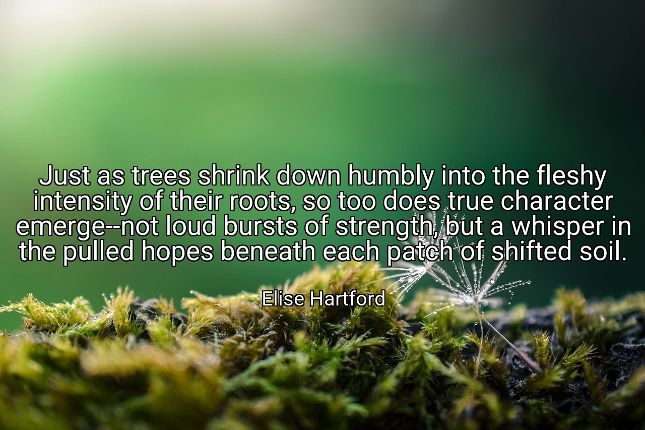 Just as trees shrink down humbly into the fleshy intensity of their roots, so too does true character emerge--not loud bursts of strength, but a whisper in the pulled hopes beneath each patch of shifted soil. - Elise Hartford