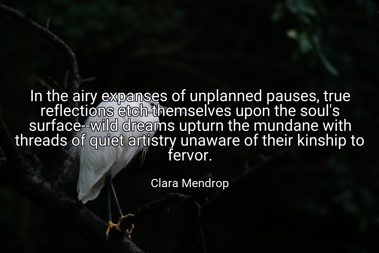 In the airy expanses of unplanned pauses, true reflections etch themselves upon the soul's surface--wild dreams upturn the mundane with threads of quiet artistry unaware of their kinship to fervor. - Clara Mendrop