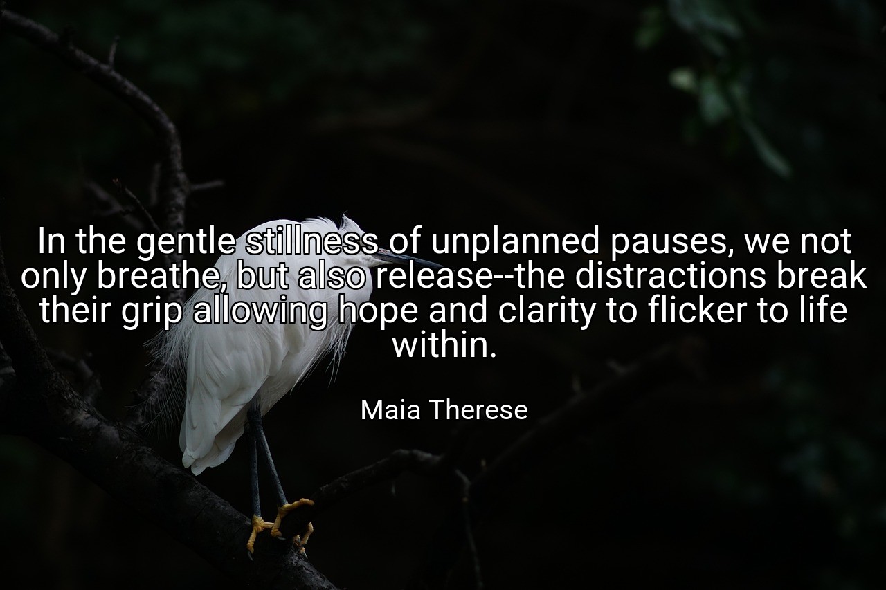 In the gentle stillness of unplanned pauses, we not only breathe, but also release--the distractions break their grip allowing hope and clarity to flicker to life within. - Maia Therese