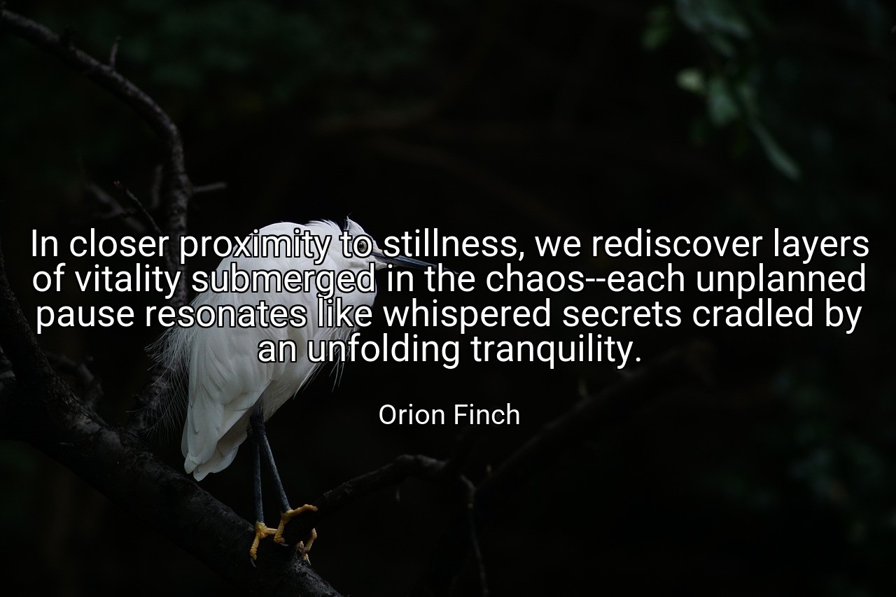 In closer proximity to stillness, we rediscover layers of vitality submerged in the chaos--each unplanned pause resonates like whispered secrets cradled by an unfolding tranquility. - Orion Finch
