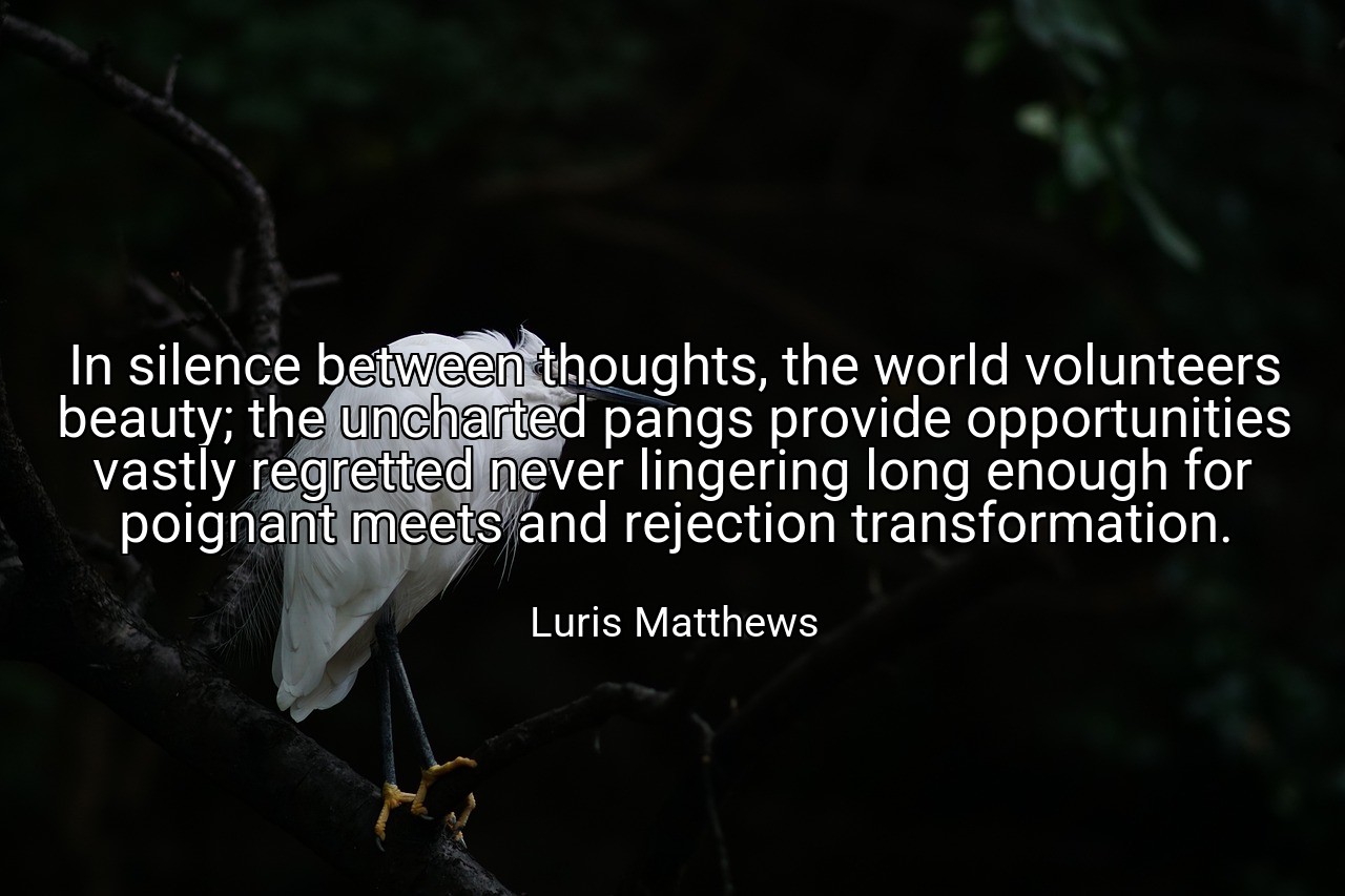 In silence between thoughts, the world volunteers beauty; the uncharted pangs provide opportunities vastly regretted never lingering long enough for poignant meets and rejection transformation. - Luris Matthews