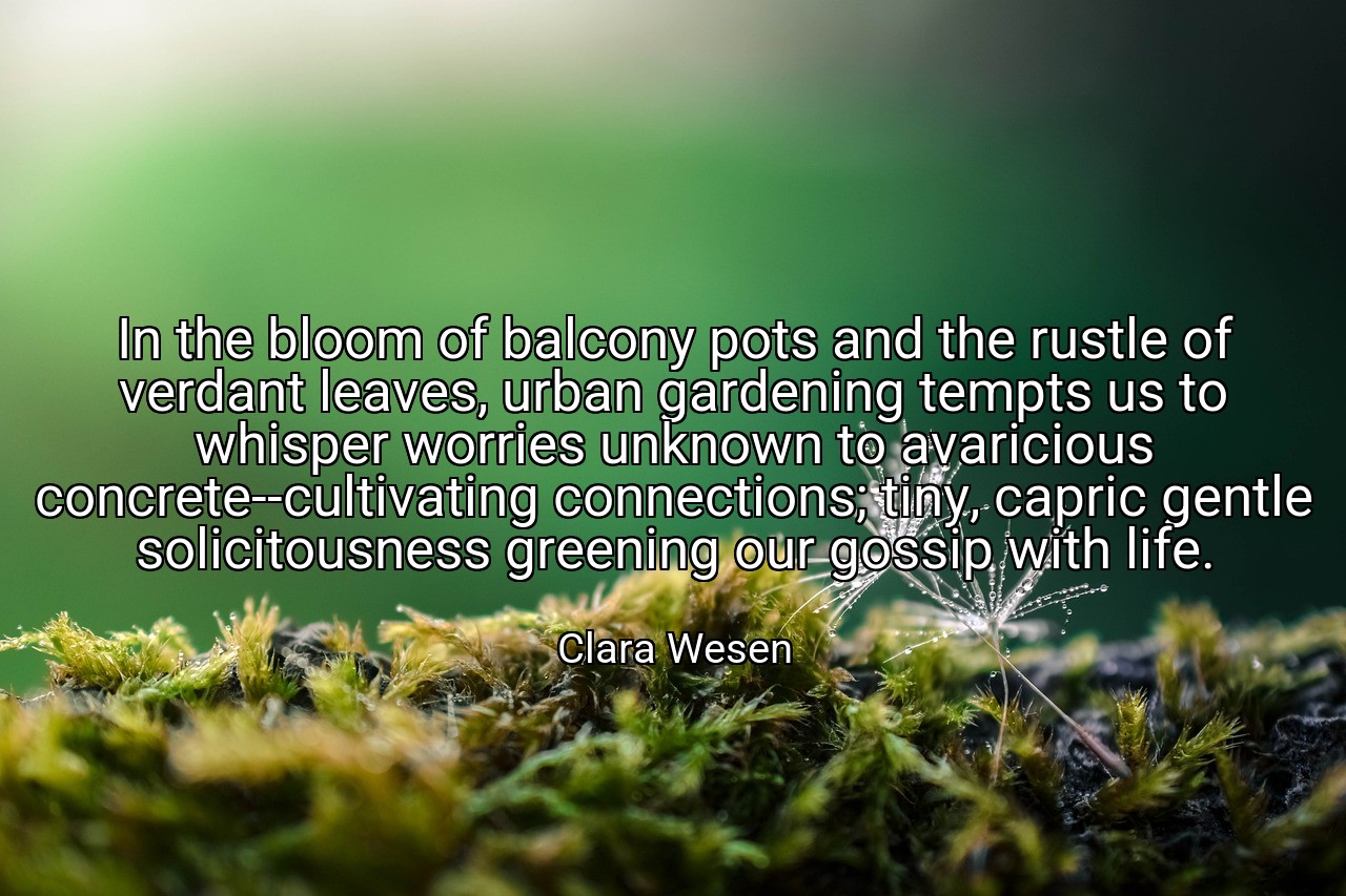 In the bloom of balcony pots and the rustle of verdant leaves, urban gardening tempts us to whisper worries unknown to avaricious concrete--cultivating connections; tiny, capric gentle solicitousness greening our gossip with life. - Clara Wesen