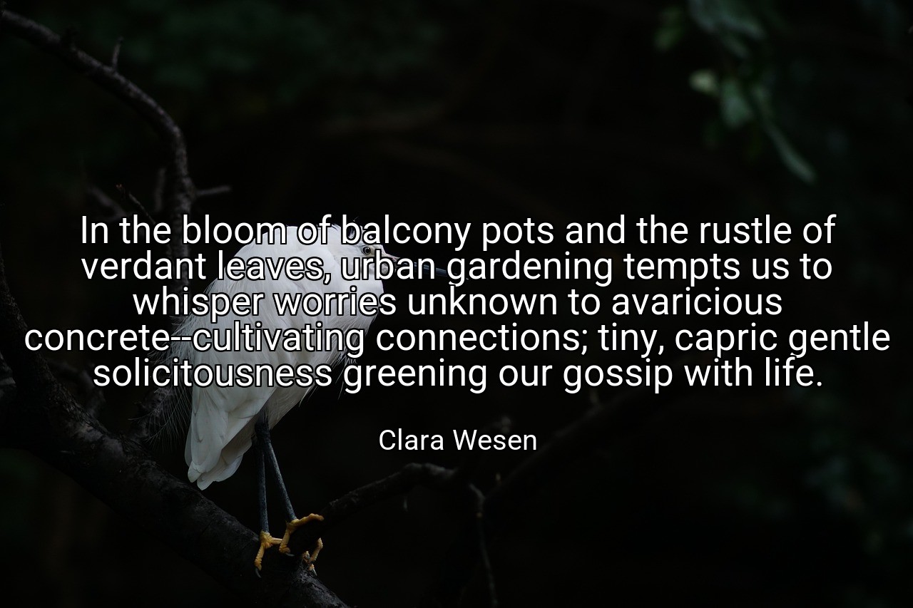 In the bloom of balcony pots and the rustle of verdant leaves, urban gardening tempts us to whisper worries unknown to avaricious concrete--cultivating connections; tiny, capric gentle solicitousness greening our gossip with life. - Clara Wesen