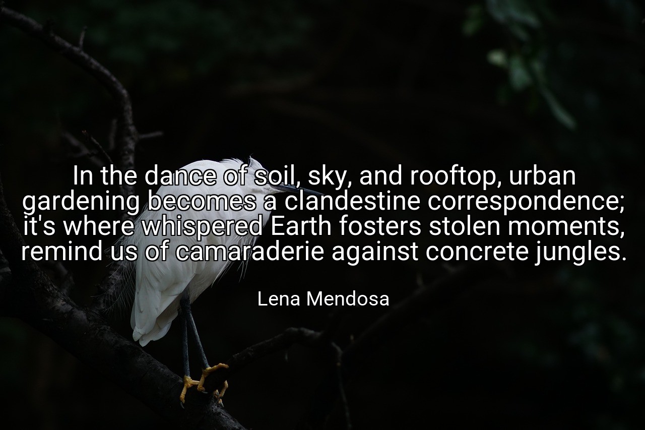 In the dance of soil, sky, and rooftop, urban gardening becomes a clandestine correspondence; it's where whispered Earth fosters stolen moments, remind us of camaraderie against concrete jungles. - Lena Mendosa