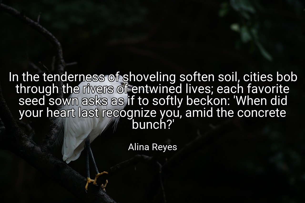 In the tenderness of shoveling soften soil, cities bob through the rivers of entwined lives; each favorite seed sown asks as if to softly beckon: 'When did your heart last recognize you, amid the concrete bunch?' - Alina Reyes