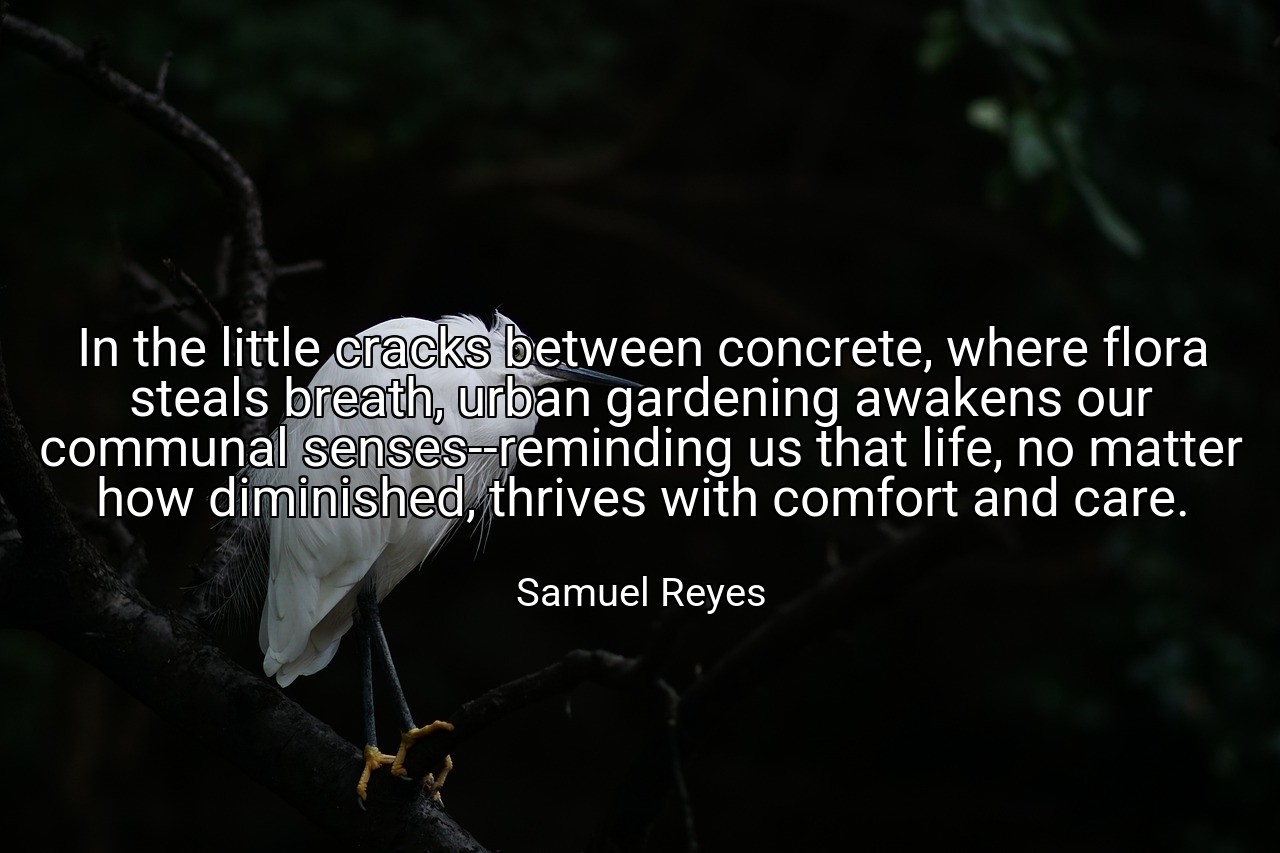 In the little cracks between concrete, where flora steals breath, urban gardening awakens our communal senses--reminding us that life, no matter how diminished, thrives with comfort and care. - Samuel Reyes