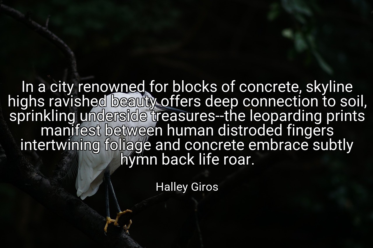 In a city renowned for blocks of concrete, skyline highs ravished beauty offers deep connection to soil, sprinkling underside treasures--the leoparding prints manifest between human distroded fingers intertwining foliage and concrete embrace subtly hymn back life roar. - Halley Giros