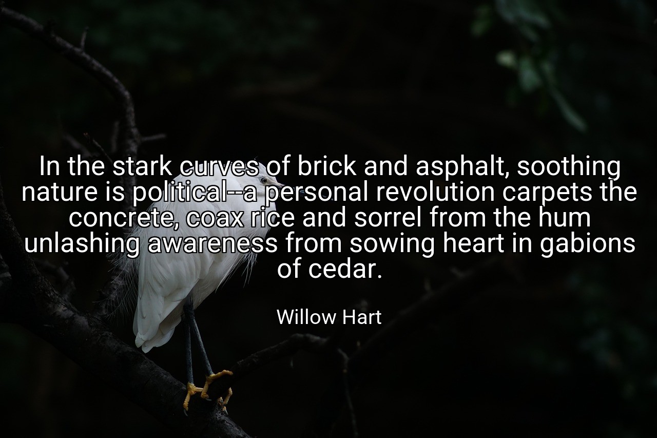 In the stark curves of brick and asphalt, soothing nature is political--a personal revolution carpets the concrete, coax rice and sorrel from the hum unlashing awareness from sowing heart in gabions of cedar. - Willow Hart