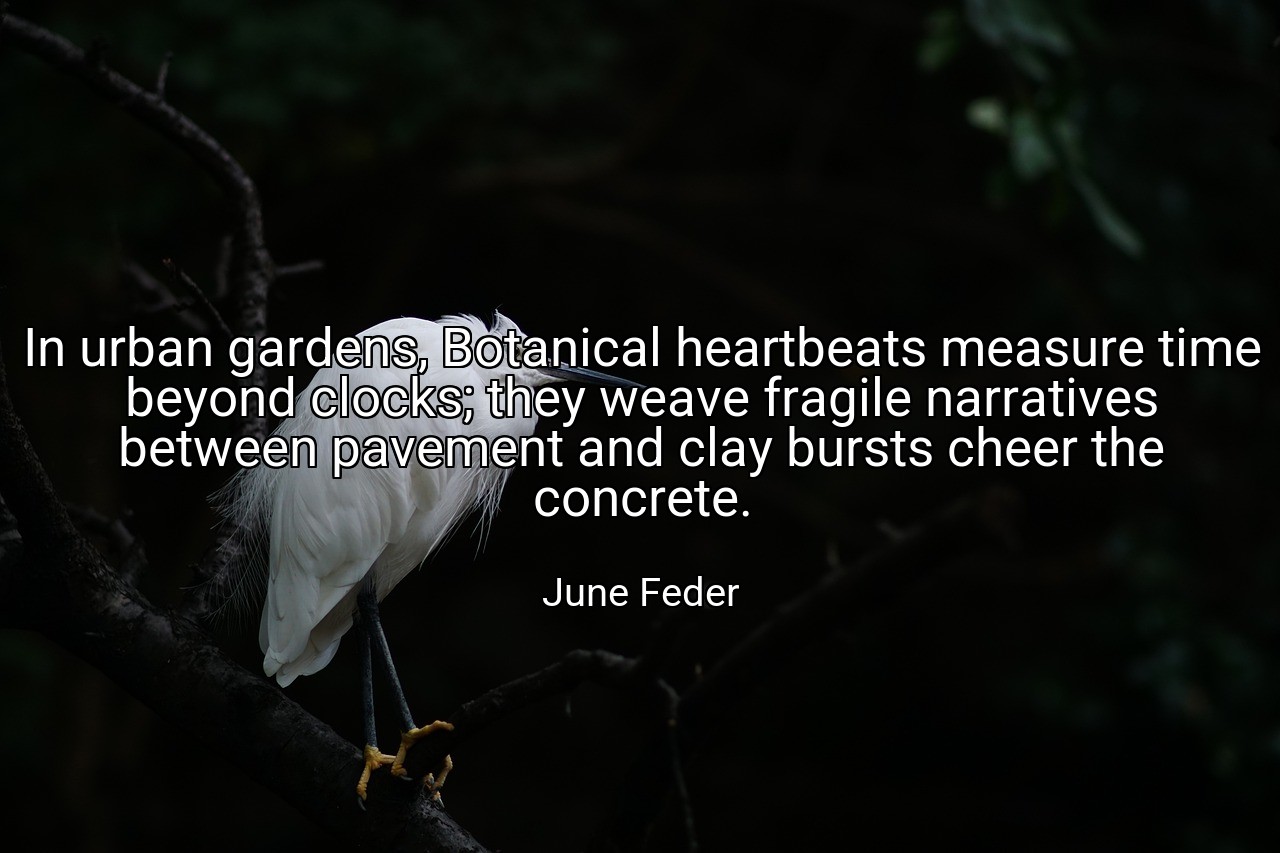 In urban gardens, Botanical heartbeats measure time beyond clocks; they weave fragile narratives between pavement and clay bursts cheer the concrete. - June Feder