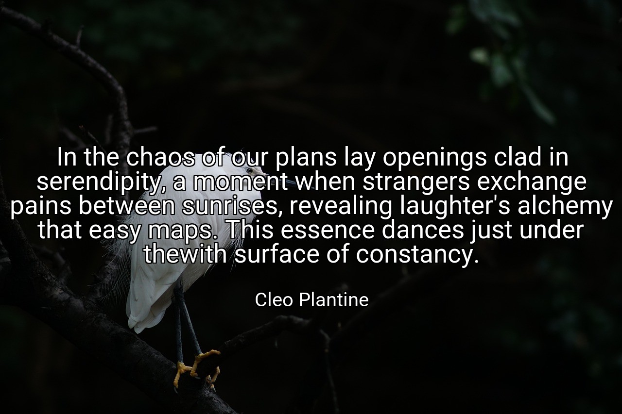 In the chaos of our plans lay openings clad in serendipity, a moment when strangers exchange pains between sunrises, revealing laughter's alchemy that easy maps. This essence dances just under thewith surface of constancy. - Cleo Plantine
