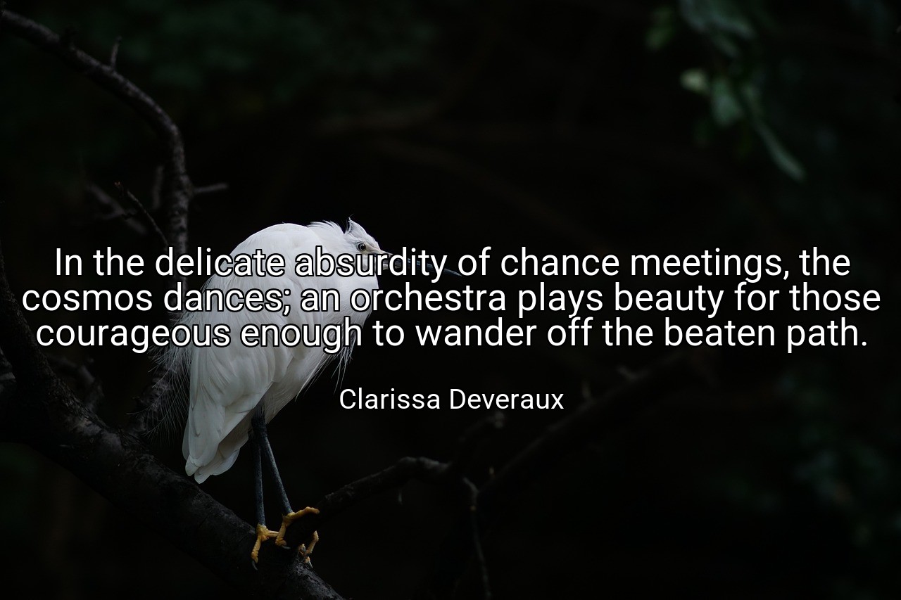 In the delicate absurdity of chance meetings, the cosmos dances; an orchestra plays beauty for those courageous enough to wander off the beaten path. - Clarissa Deveraux