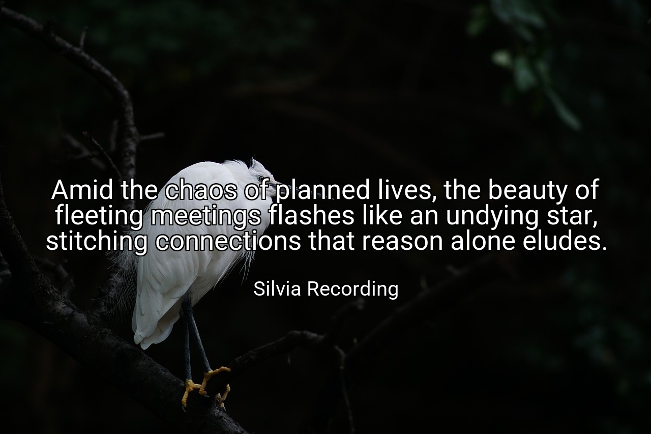 Amid the chaos of planned lives, the beauty of fleeting meetings flashes like an undying star, stitching connections that reason alone eludes. - Silvia Recording