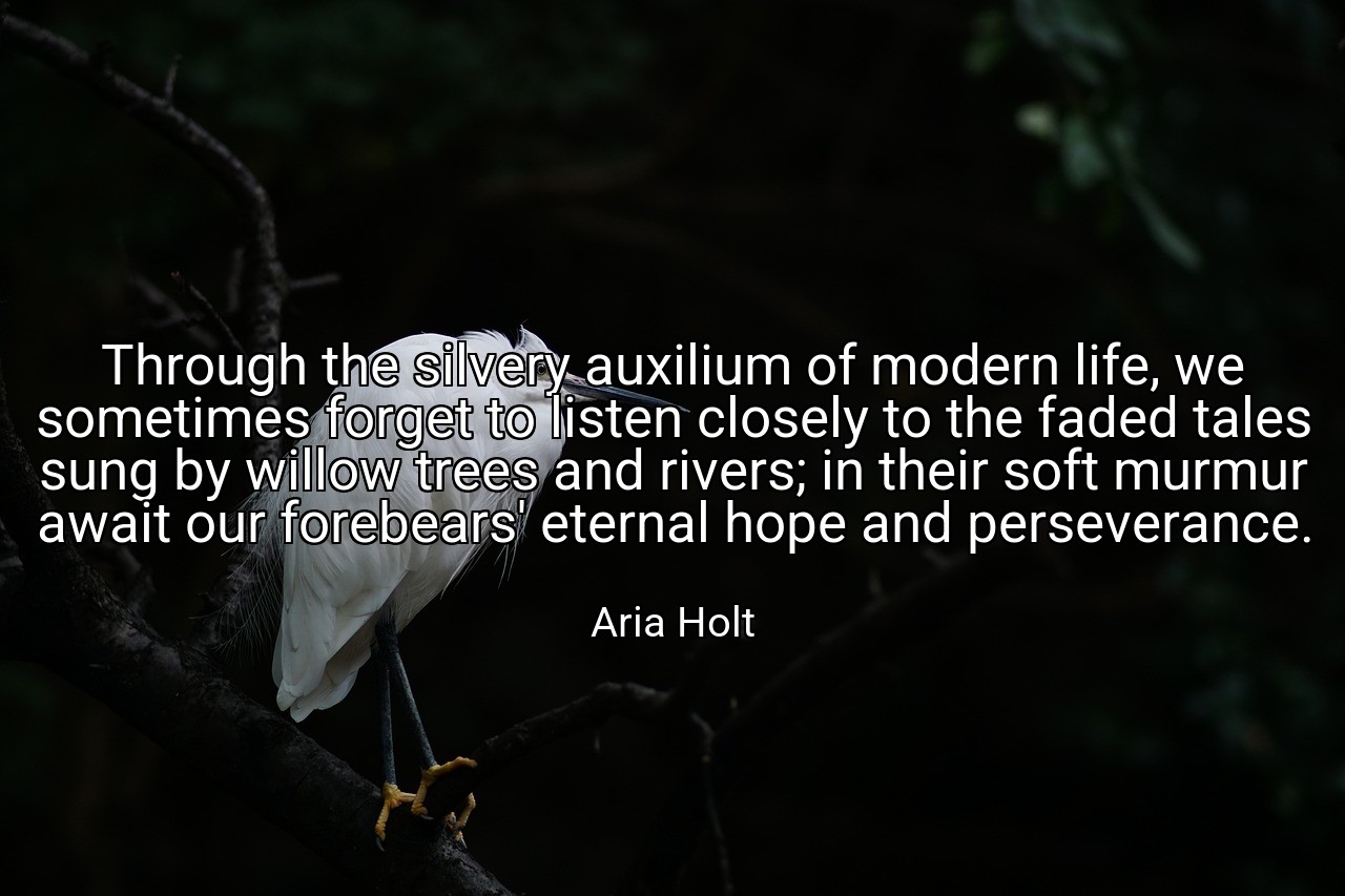 Through the silvery auxilium of modern life, we sometimes forget to listen closely to the faded tales sung by willow trees and rivers; in their soft murmur await our forebears' eternal hope and perseverance. - Aria Holt