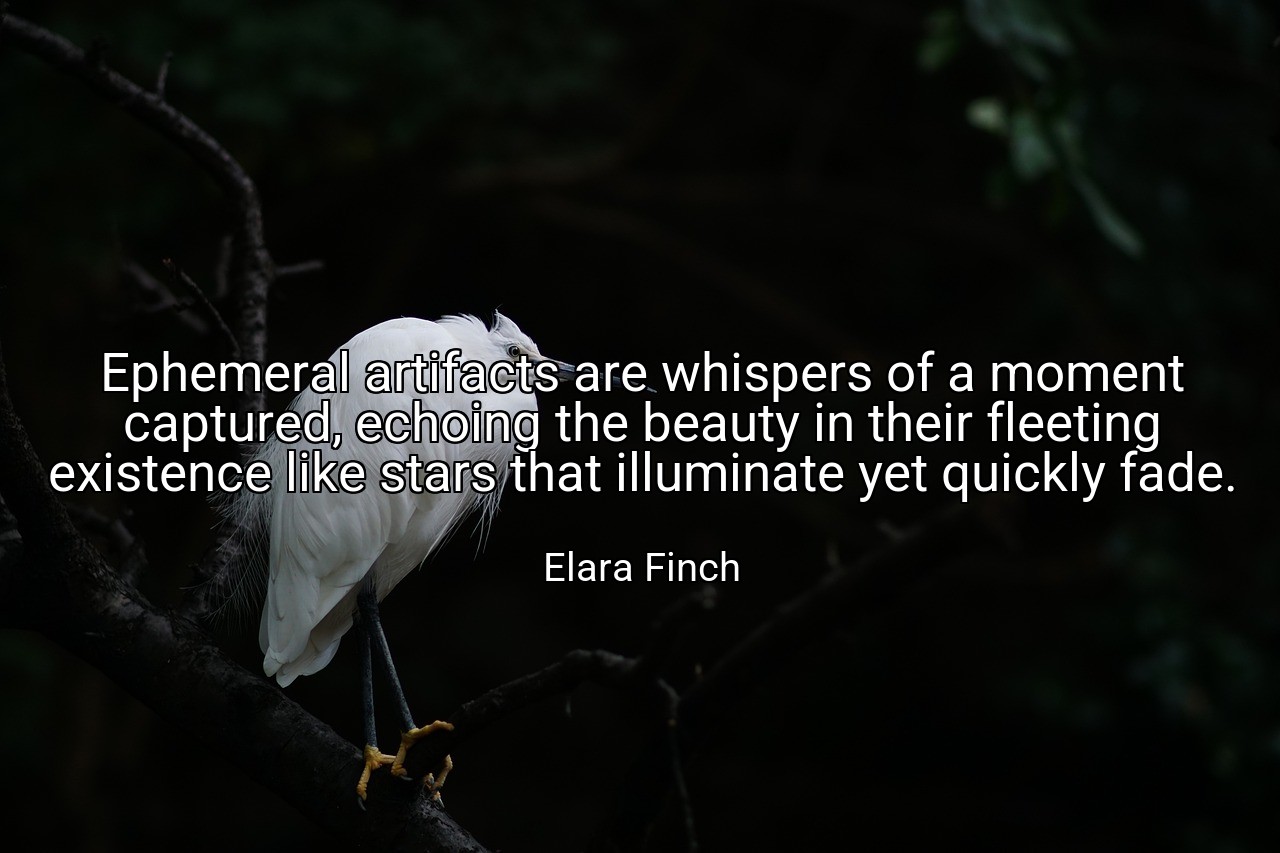 Ephemeral artifacts are whispers of a moment captured, echoing the beauty in their fleeting existence like stars that illuminate yet quickly fade. - Elara Finch