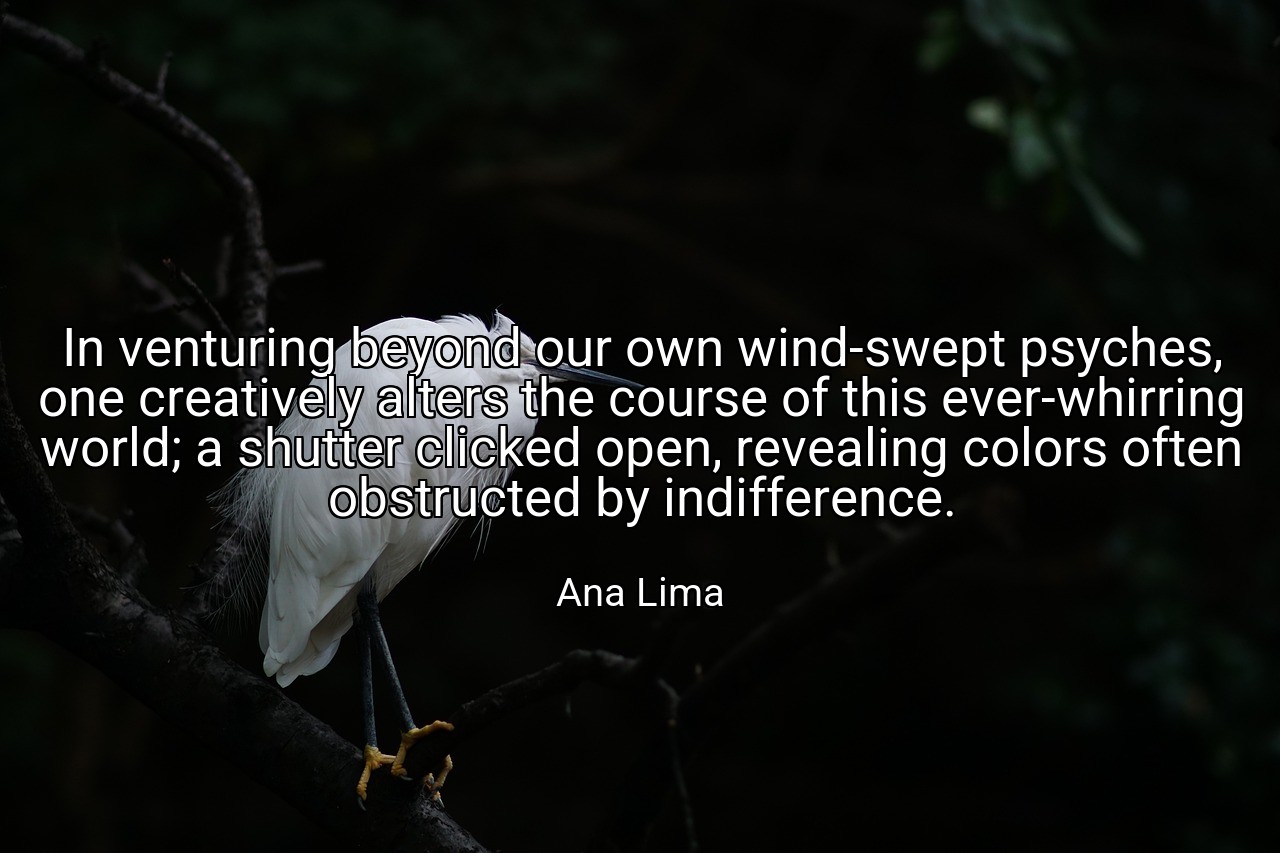 In venturing beyond our own wind-swept psyches, one creatively alters the course of this ever-whirring world; a shutter clicked open, revealing colors often obstructed by indifference. - Ana Lima