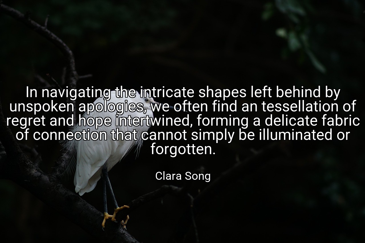 In navigating the intricate shapes left behind by unspoken apologies, we often find an tessellation of regret and hope intertwined, forming a delicate fabric of connection that cannot simply be illuminated or forgotten. - Clara Song