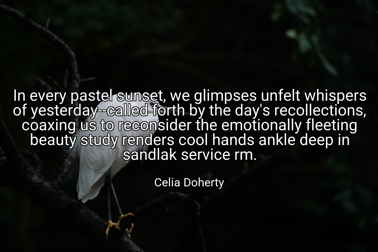 In every pastel sunset, we glimpses unfelt whispers of yesterday--called forth by the day's recollections, coaxing us to reconsider the emotionally fleeting beauty study renders cool hands ankle deep in sandlak service rm. - Celia Doherty