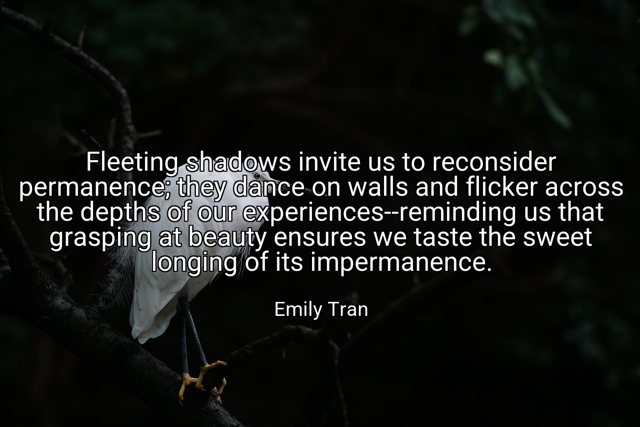 Fleeting shadows invite us to reconsider permanence; they dance on walls and flicker across the depths of our experiences--reminding us that grasping at beauty ensures we taste the sweet longing of its impermanence. - Emily Tran
