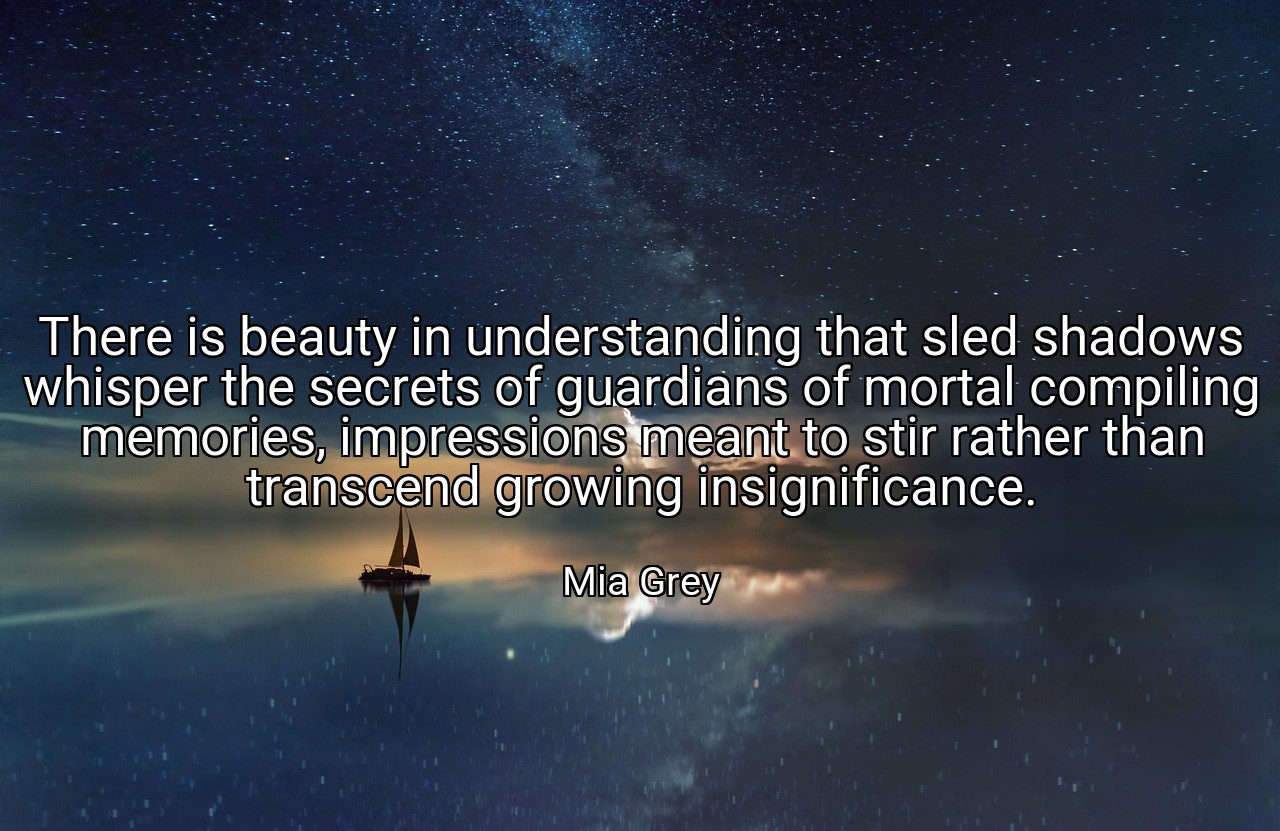 There is beauty in understanding that sled shadows whisper the secrets of guardians of mortal compiling memories, impressions meant to stir rather than transcend growing insignificance. - Mia Grey