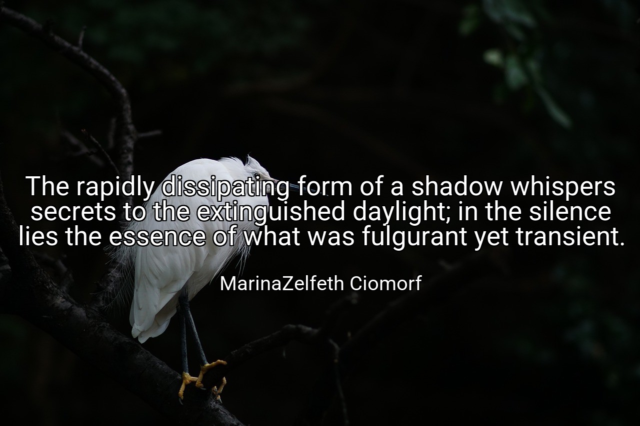 The rapidly dissipating form of a shadow whispers secrets to the extinguished daylight; in the silence lies the essence of what was fulgurant yet transient. - MarinaZelfeth Ciomorf