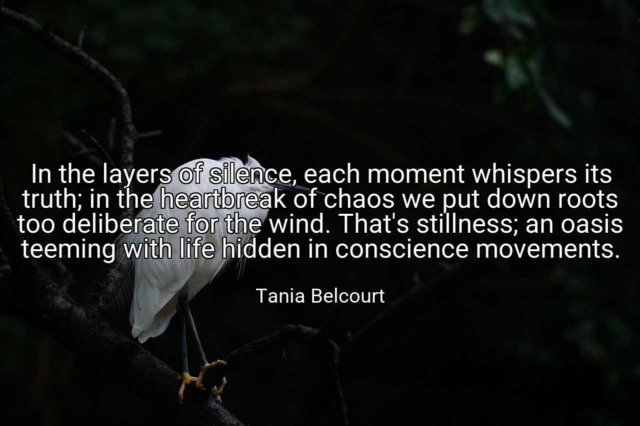 In the layers of silence, each moment whispers its truth; in the heartbreak of chaos we put down roots too deliberate for the wind. That's stillness; an oasis teeming with life hidden in conscience movements. - Tania Belcourt