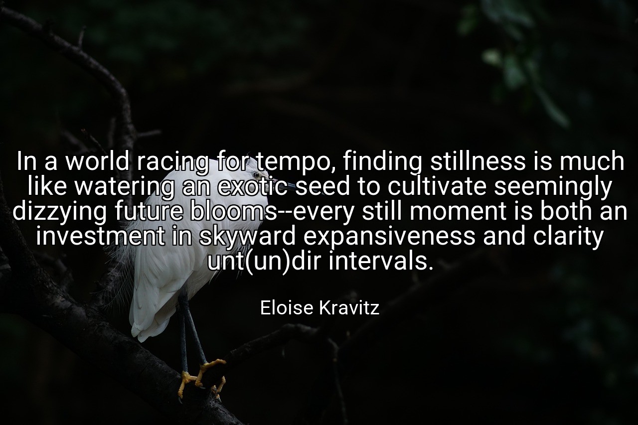 In a world racing for tempo, finding stillness is much like watering an exotic seed to cultivate seemingly dizzying future blooms--every still moment is both an investment in skyward expansiveness and clarity unt(un)dir intervals. - Eloise Kravitz