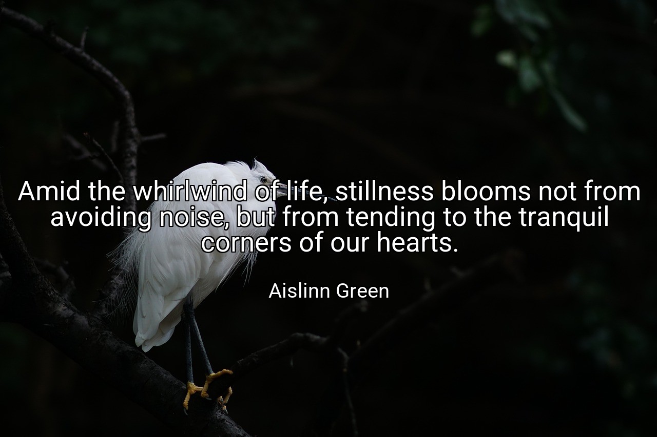 Amid the whirlwind of life, stillness blooms not from avoiding noise, but from tending to the tranquil corners of our hearts. - Aislinn Green