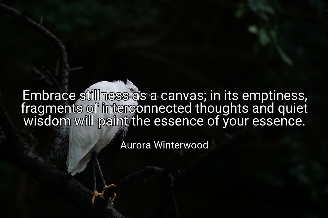 Embrace stillness as a canvas; in its emptiness, fragments of interconnected thoughts and quiet wisdom will paint the essence of your essence. - Aurora Winterwood