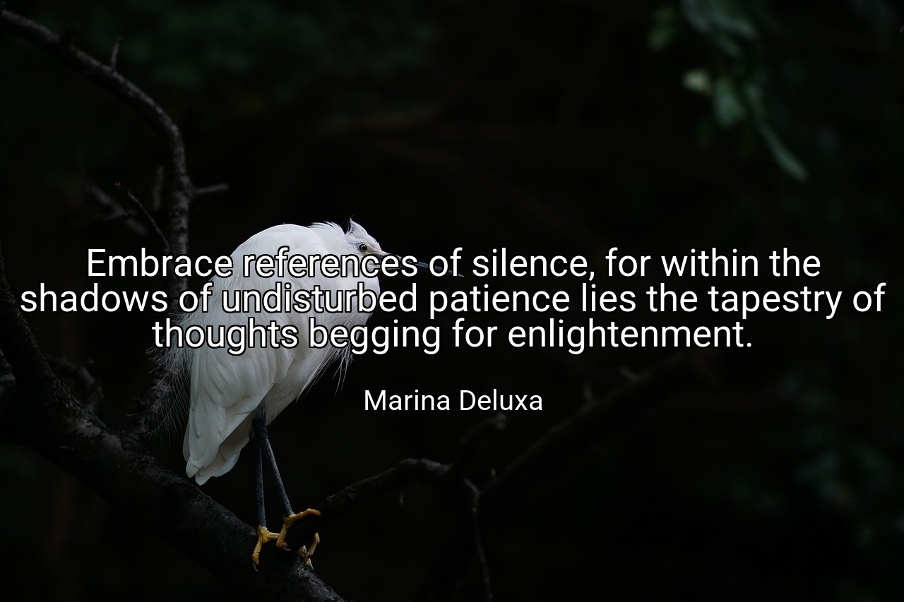 Embrace references of silence, for within the shadows of undisturbed patience lies the tapestry of thoughts begging for enlightenment. - Marina Deluxa