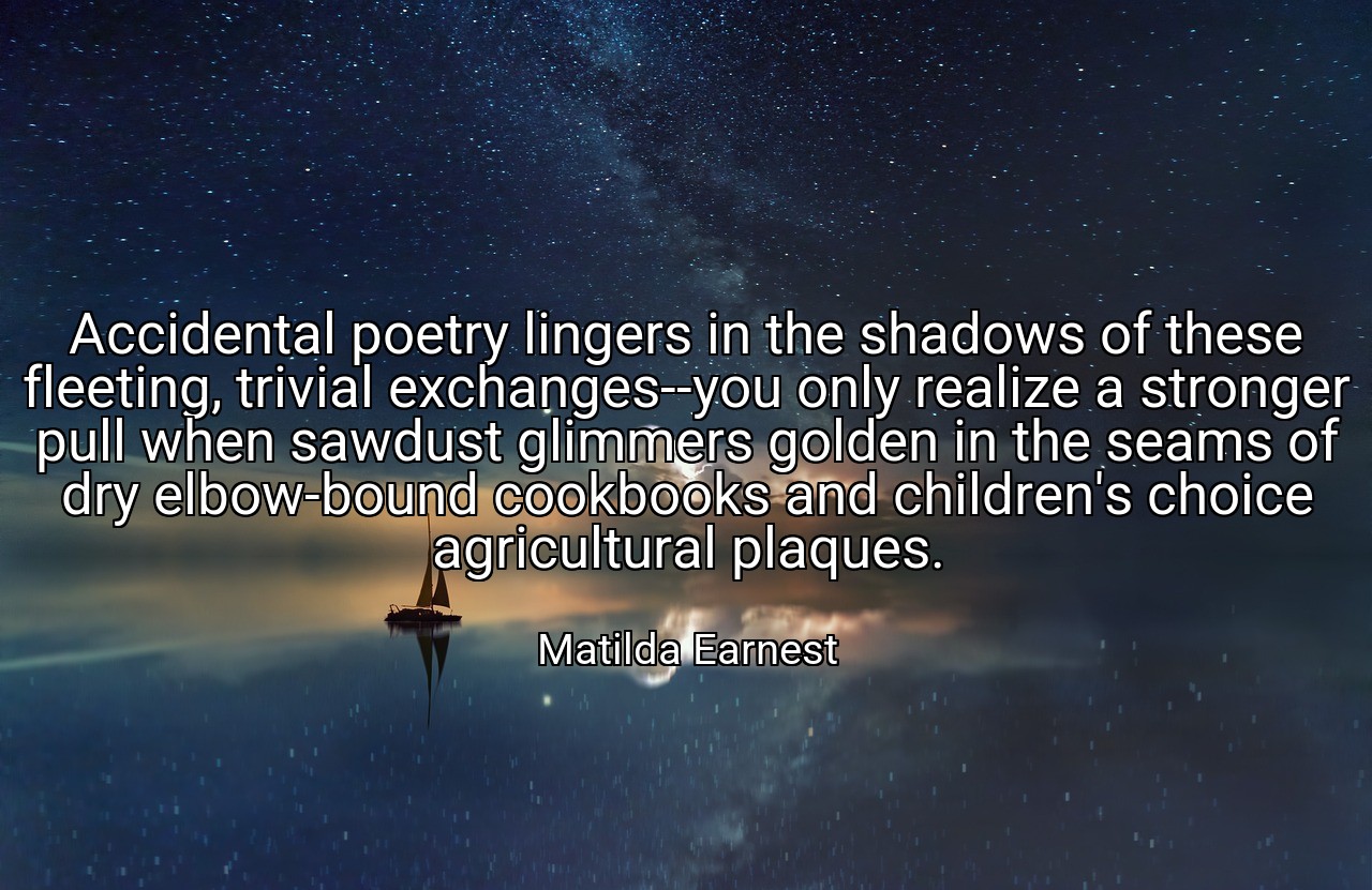 Accidental poetry lingers in the shadows of these fleeting, trivial exchanges--you only realize a stronger pull when sawdust glimmers golden in the seams of dry elbow-bound cookbooks and children's choice agricultural plaques. - Matilda Earnest