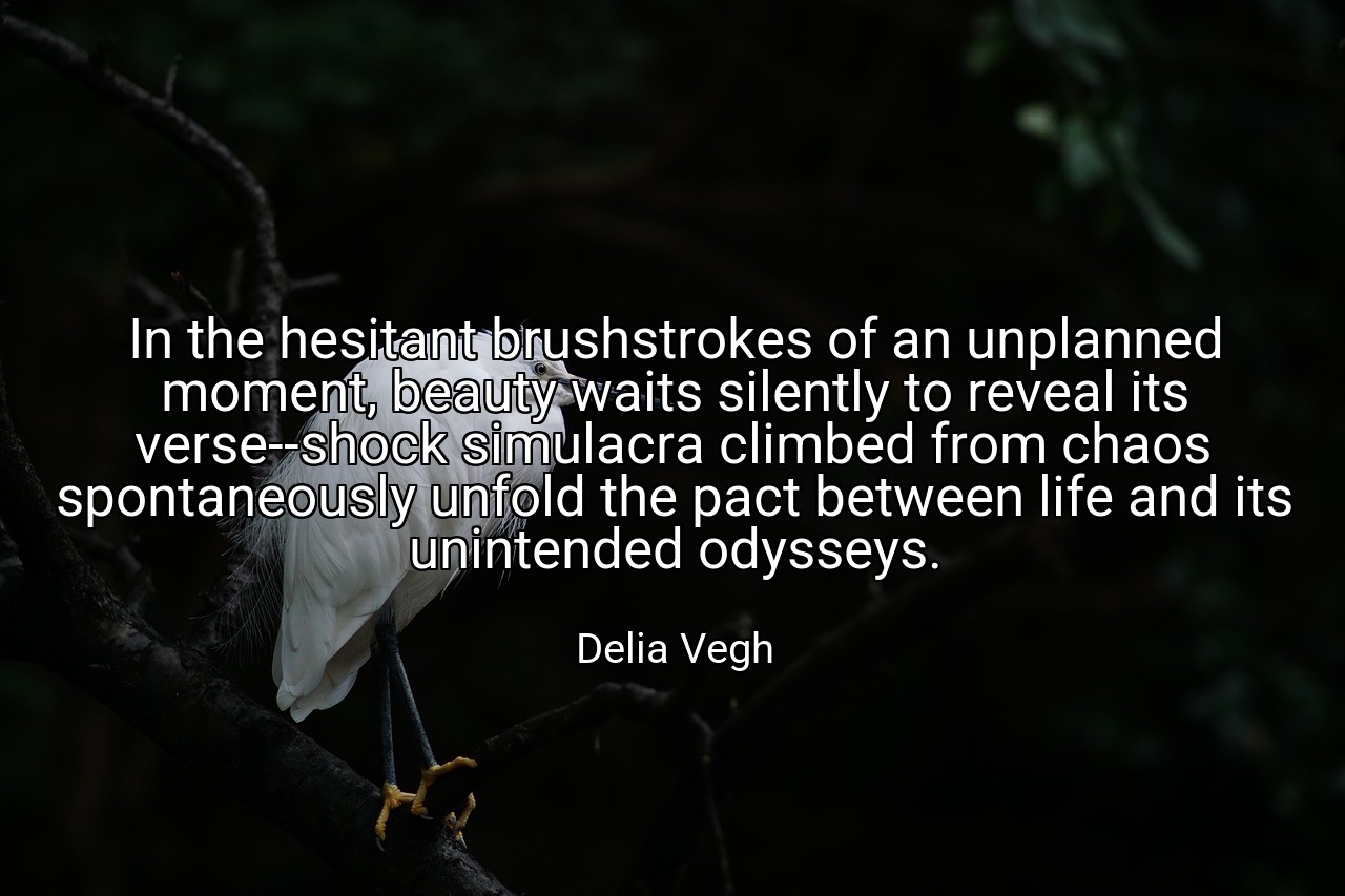In the hesitant brushstrokes of an unplanned moment, beauty waits silently to reveal its verse--shock simulacra climbed from chaos spontaneously unfold the pact between life and its unintended odysseys. - Delia Vegh