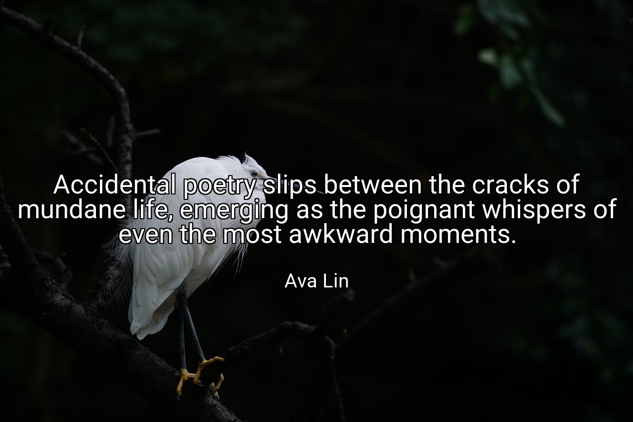 Accidental poetry slips between the cracks of mundane life, emerging as the poignant whispers of even the most awkward moments. - Ava Lin