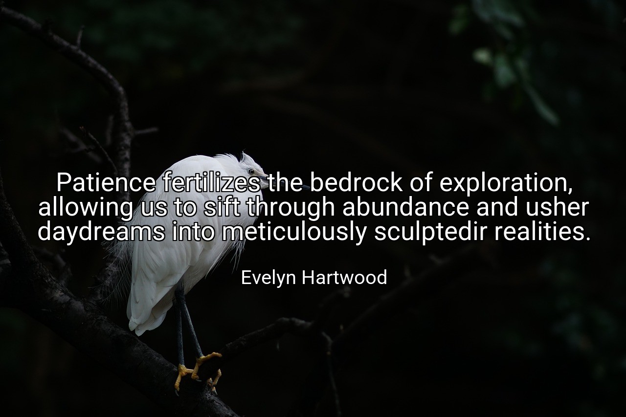 Patience fertilizes the bedrock of exploration, allowing us to sift through abundance and usher daydreams into meticulously sculptedir realities. - Evelyn Hartwood