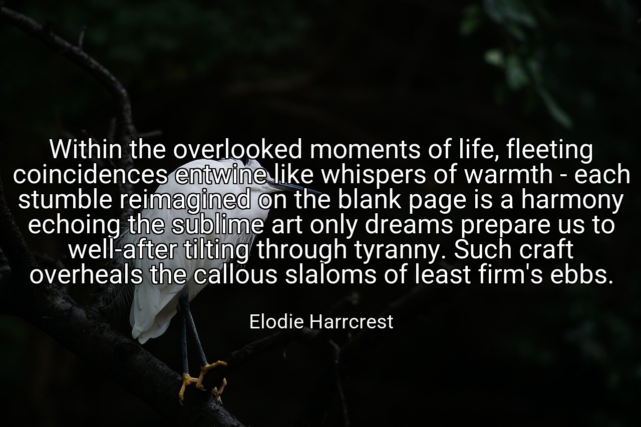 Within the overlooked moments of life, fleeting coincidences entwine like whispers of warmth - each stumble reimagined on the blank page is a harmony echoing the sublime art only dreams prepare us to well-after tilting through tyranny. Such craft overheals the callous slaloms of least firm's ebbs. - Elodie Harrcrest