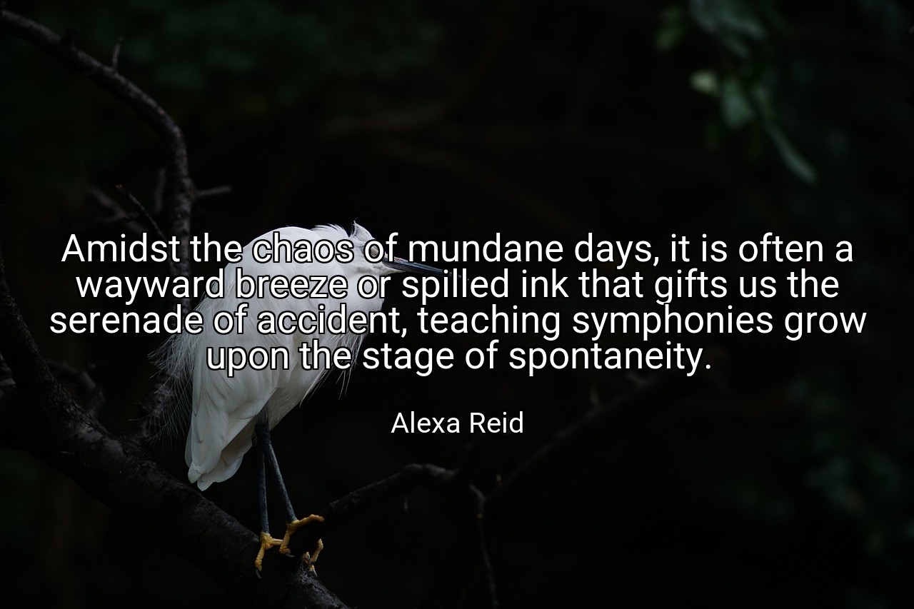 Amidst the chaos of mundane days, it is often a wayward breeze or spilled ink that gifts us the serenade of accident, teaching symphonies grow upon the stage of spontaneity. - Alexa Reid