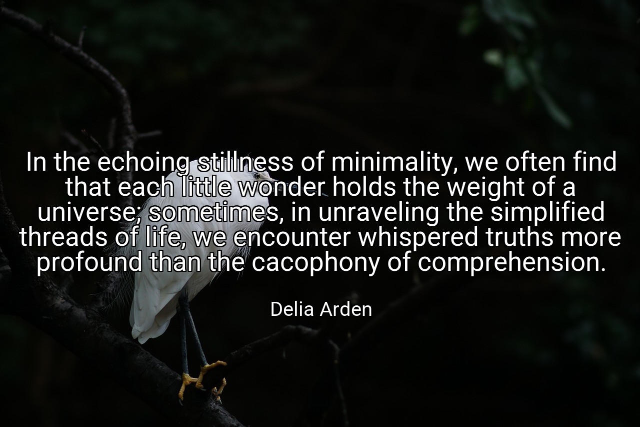 In the echoing stillness of minimality, we often find that each little wonder holds the weight of a universe; sometimes, in unraveling the simplified threads of life, we encounter whispered truths more profound than the cacophony of comprehension. - Delia Arden