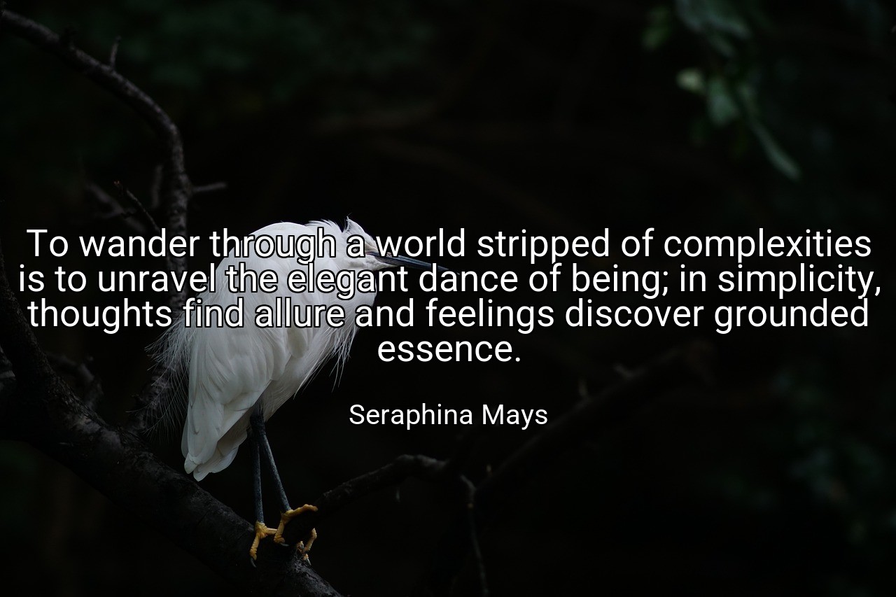 To wander through a world stripped of complexities is to unravel the elegant dance of being; in simplicity, thoughts find allure and feelings discover grounded essence. - Seraphina Mays
