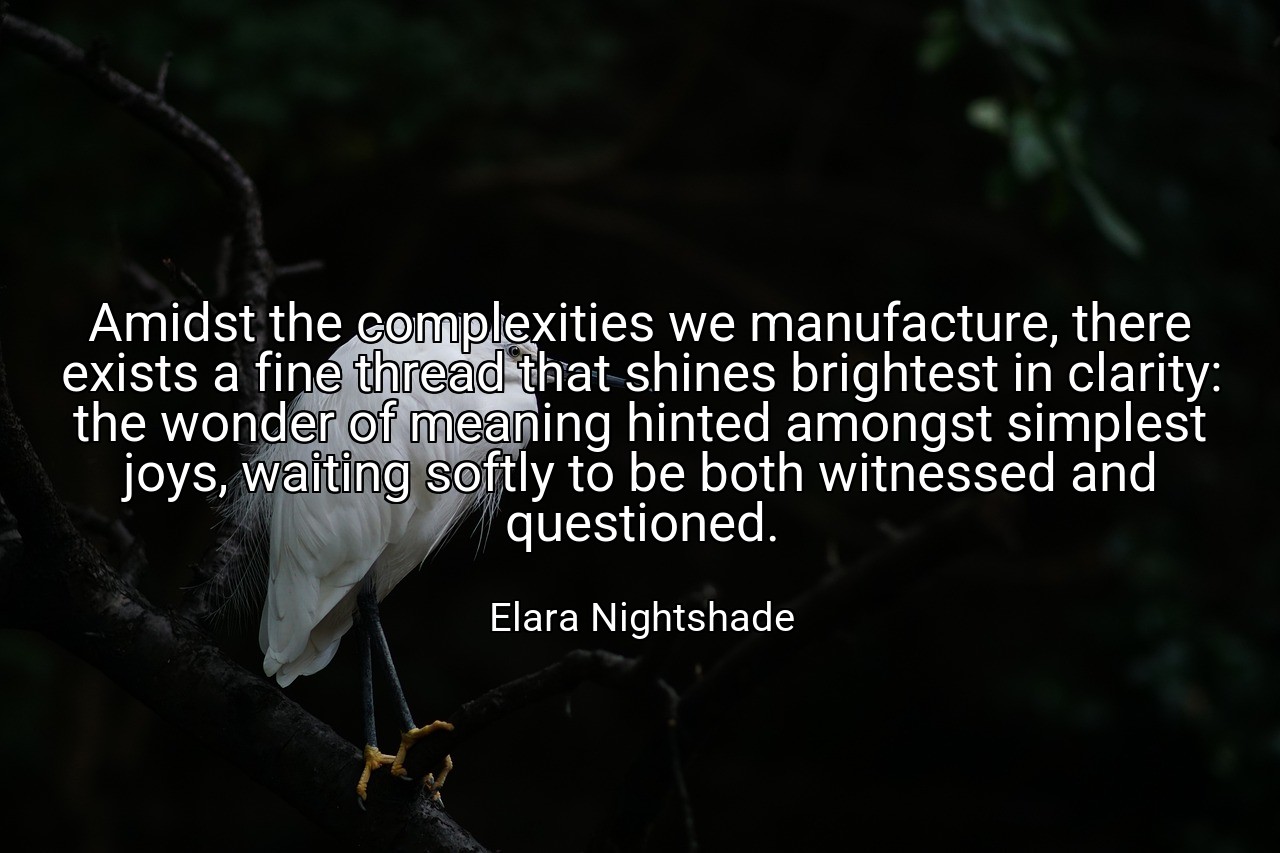 Amidst the complexities we manufacture, there exists a fine thread that shines brightest in clarity: the wonder of meaning hinted amongst simplest joys, waiting softly to be both witnessed and questioned. - Elara Nightshade