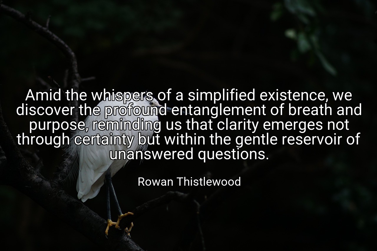 Amid the whispers of a simplified existence, we discover the profound entanglement of breath and purpose, reminding us that clarity emerges not through certainty but within the gentle reservoir of unanswered questions. - Rowan Thistlewood