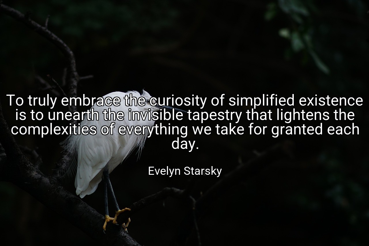 To truly embrace the curiosity of simplified existence is to unearth the invisible tapestry that lightens the complexities of everything we take for granted each day. - Evelyn Starsky